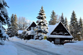 Pension Dřevěnka, Harrachov